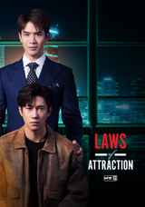 Laws of Attraction Blu-ray